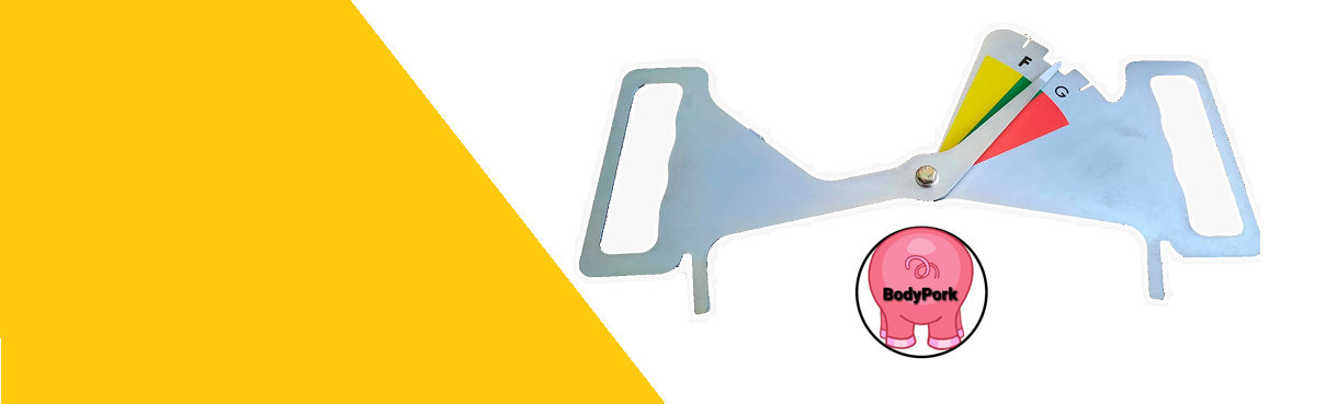 CONTROL DE CONDICIÓN CORPORAL